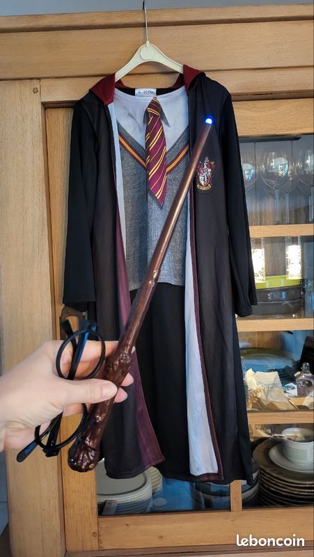 Déguisement enfant Harry Potter ou Hermione (image 12)