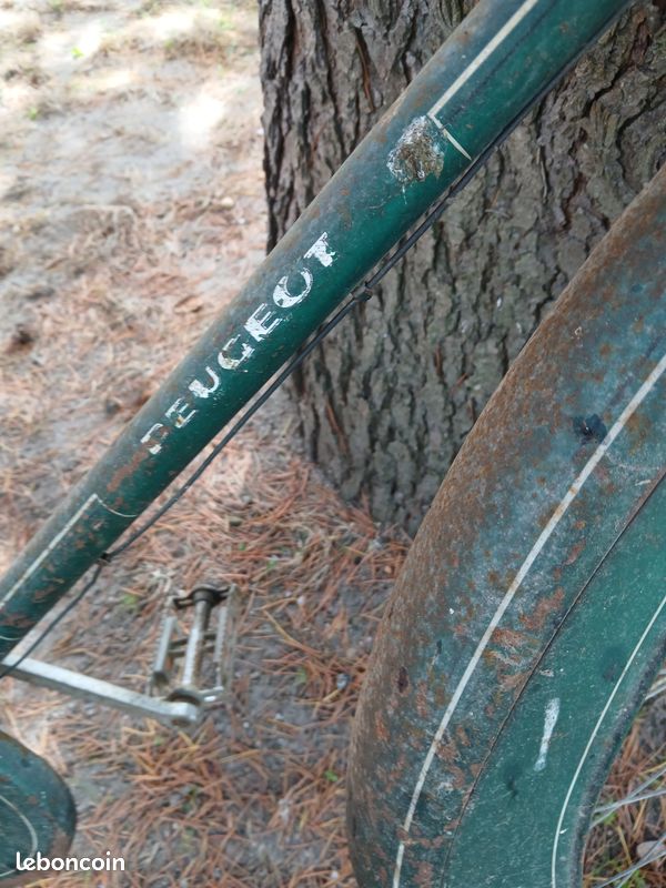 Velo ancien (image 3)