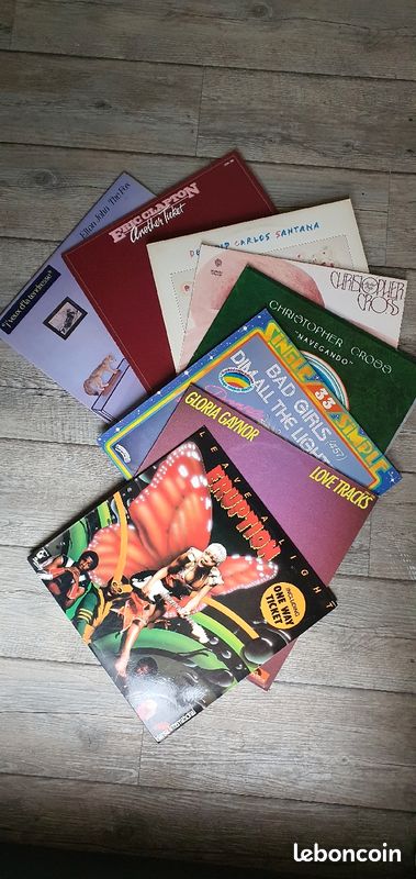 Lot 8 33 tours (image 1)