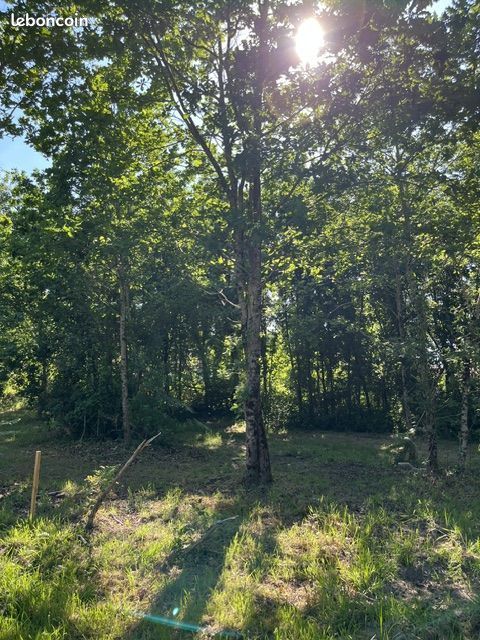 Terrain à bâtir de 909 m² à LANTON (33) · 375 000 €