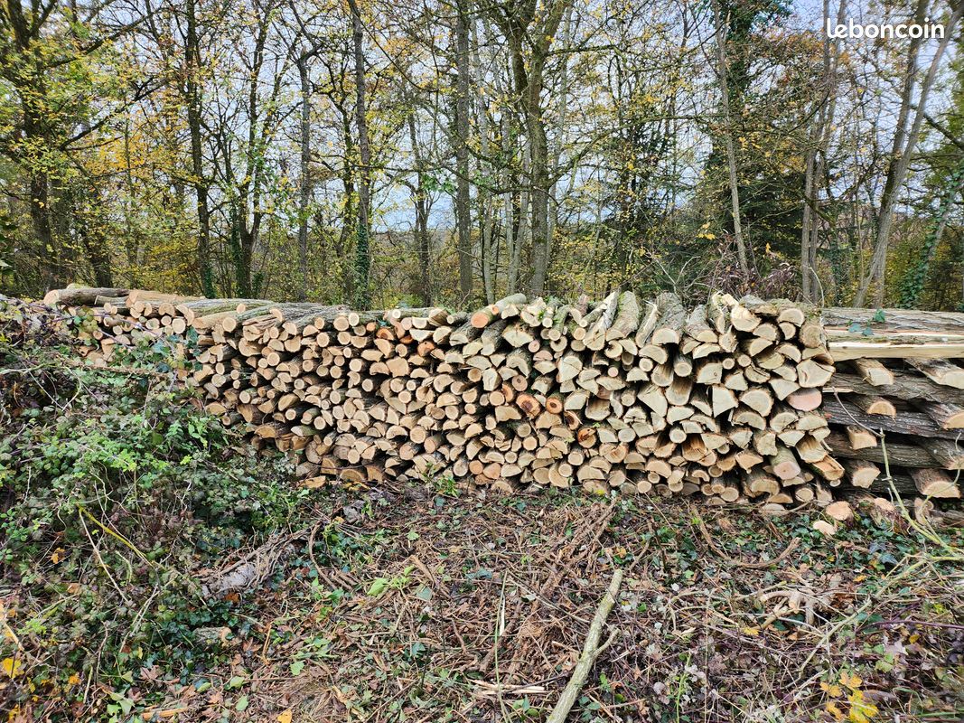 Bois (image 7)