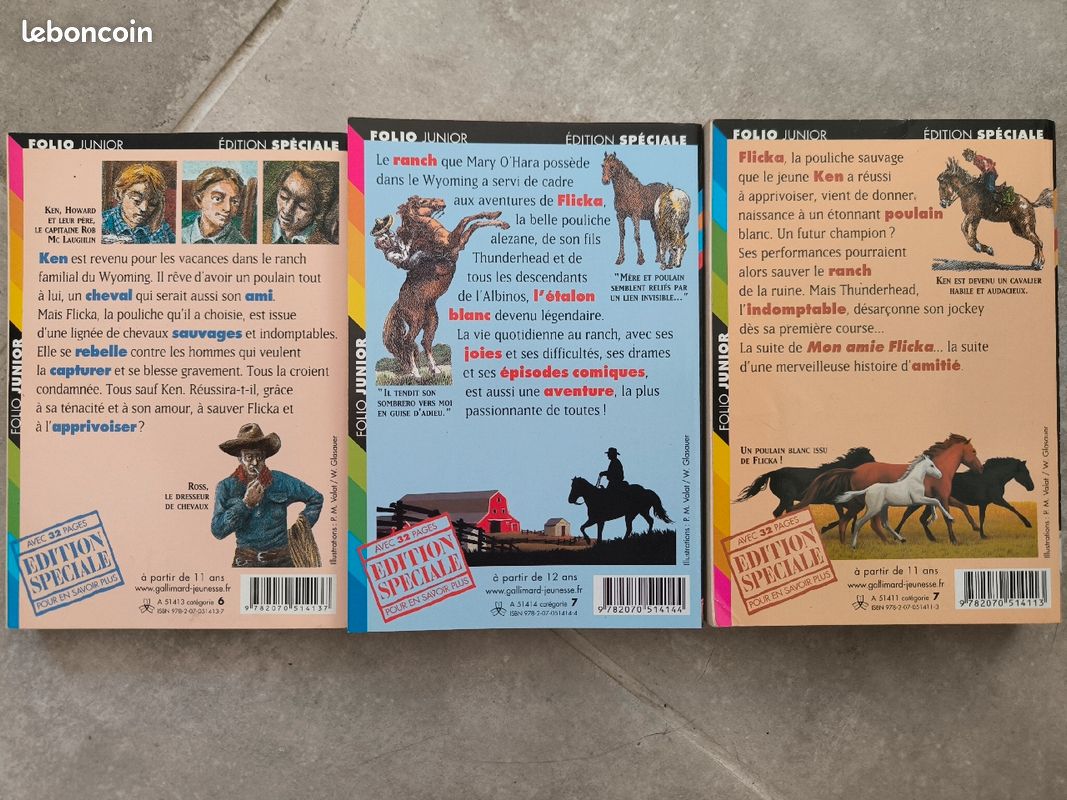 Flicka - Série de 3 tomes (image 2)