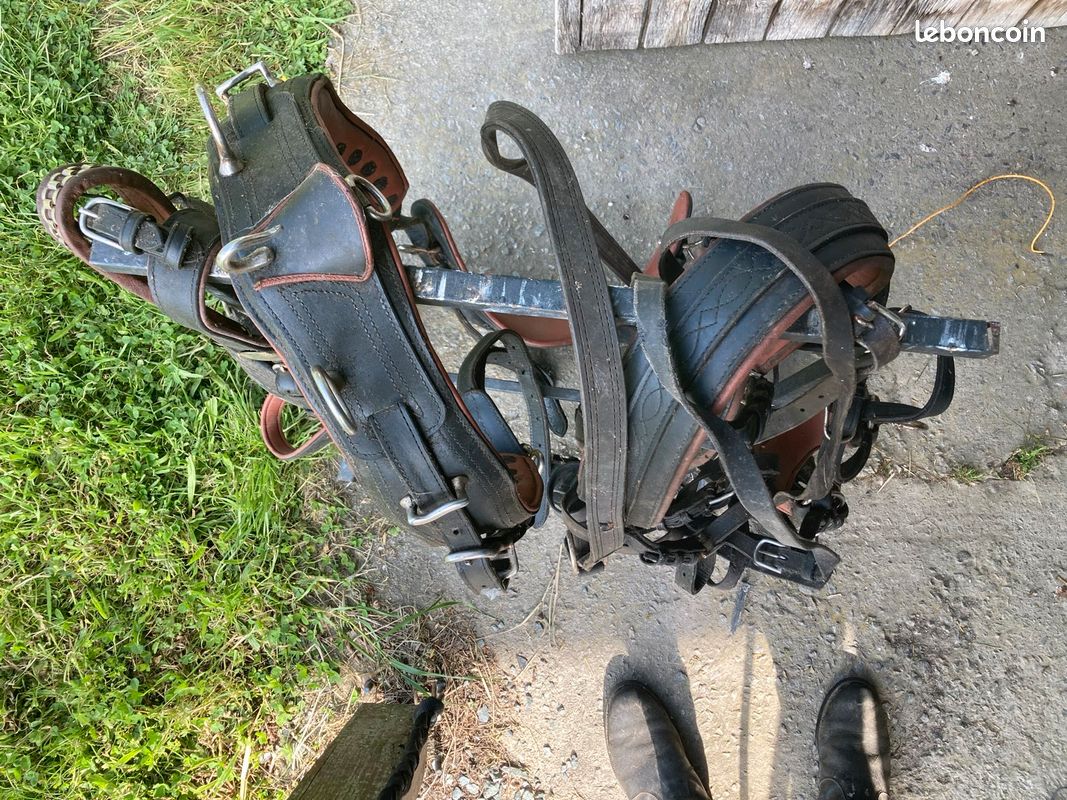 Quincaillerie Laiton Pour Selle De Harnais De Poney - Occasion - USA