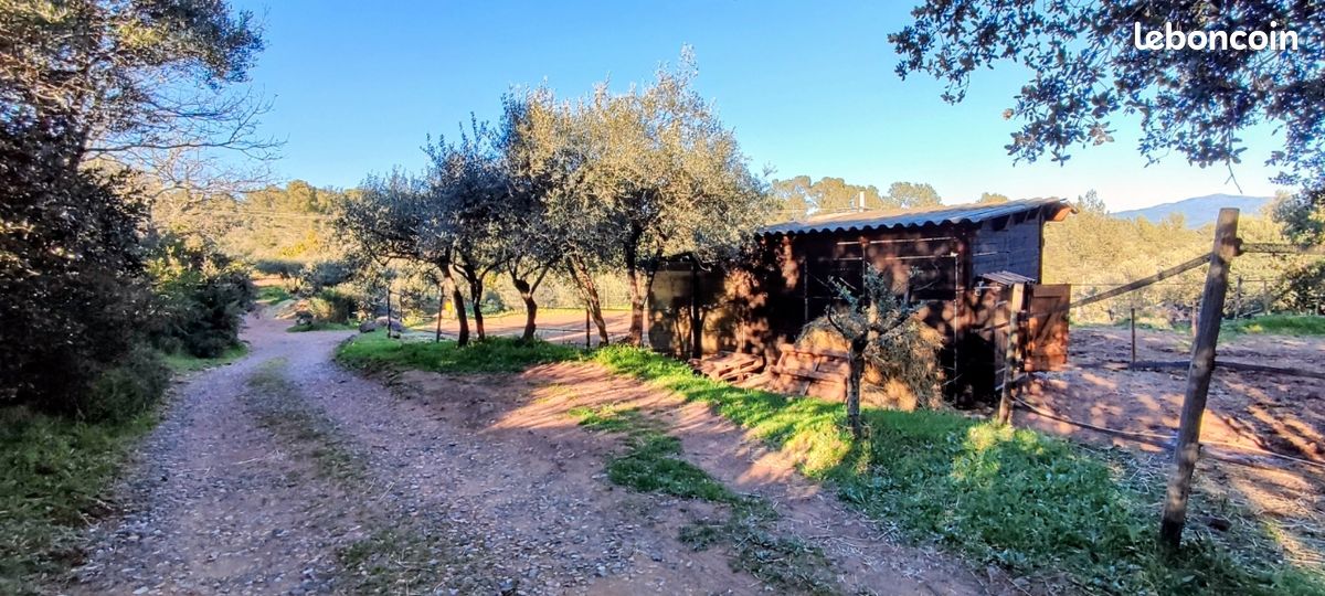 paddock-abri-terrain-de-1600m2-cl-tur-locations