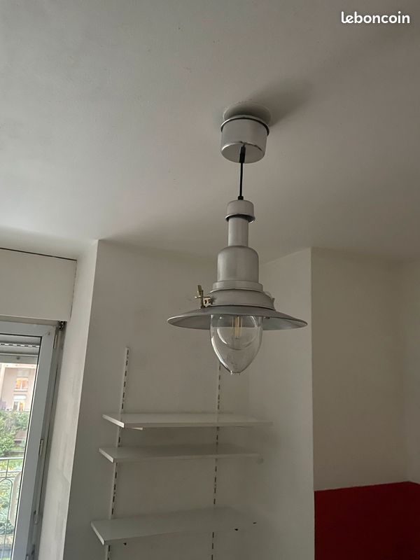 Cause déménagement vends lustre (image 1)