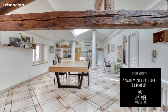 🌴Centre Vienne, Appartement esprit loft au 3éme et dernier étage