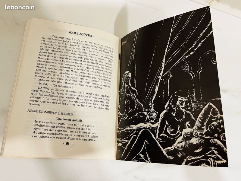 Livre Kama-soutra (image 4)