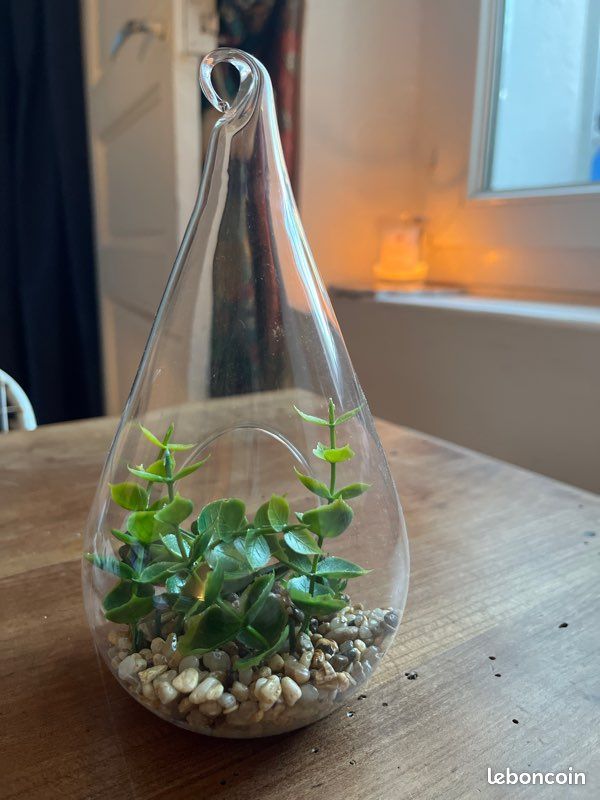 Mini terrarium artificiel (image 2)