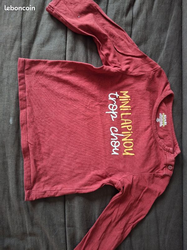 Tshirts manches longues 24 mois (image 7)