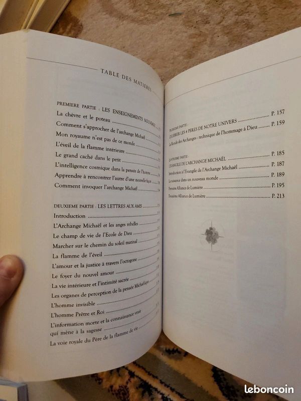L'évangile de l'Archange Michaël par Olivier Manitara (image 3)