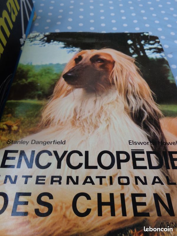 Collection + de 100fascicules "Mon chien, mon ami" (image 2)