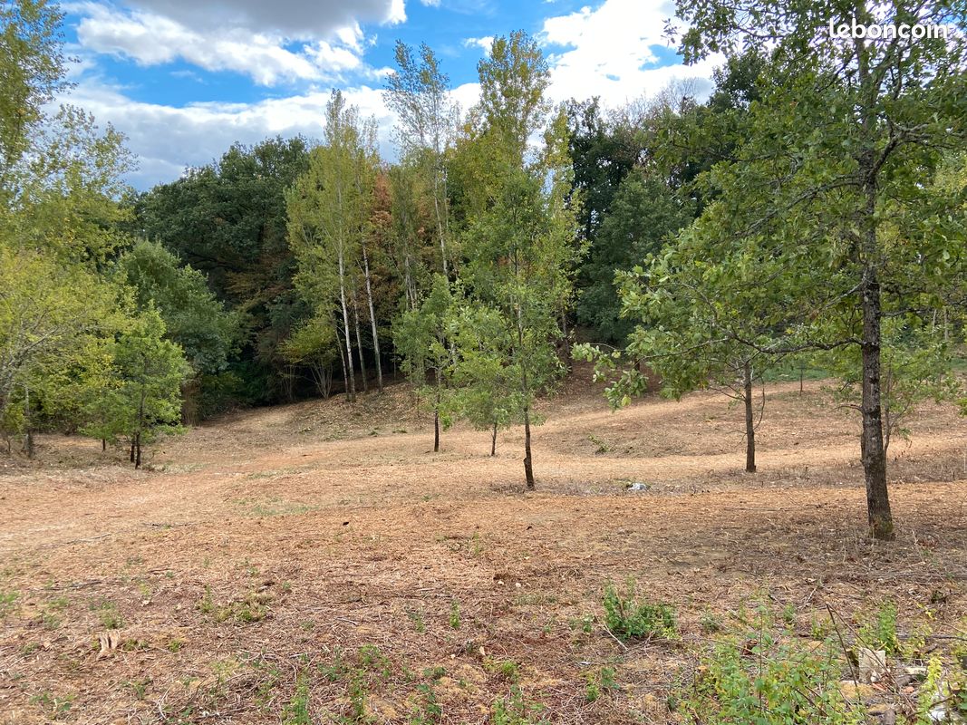 TERRAIN VIABILISE 3167 m² · à Moissac · 60 000 €