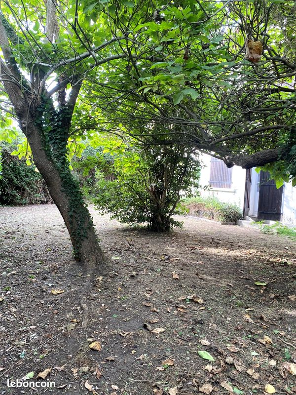 Local 140 m² Dax (image 13)