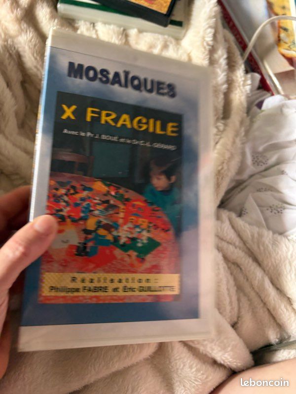 VHS : X Fragile. Philippe Fabre, Éric Guillotte. Mosaïque, 1998. NEUF (image 5)