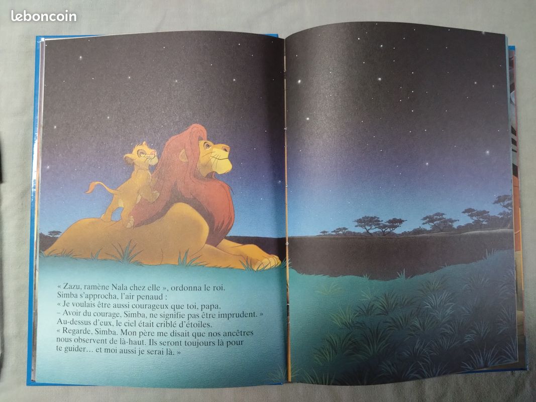 Livre Disney Le Roi Lion (image 3)