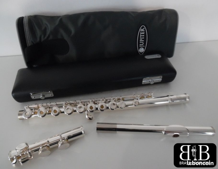 Flûte en ébène de qualité supérieure, instrument de musique, clés plaquées or, flûte en bois, 17 trous ouverts, flûte professionnelle Flûte en ébène de qualité supérieure, instrument de musique, clés plaquées or, flûte en bois, 17 trous ouverts, flûte professionnelle