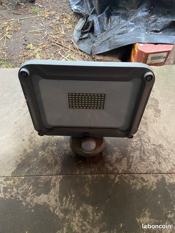 Spot (image 1)