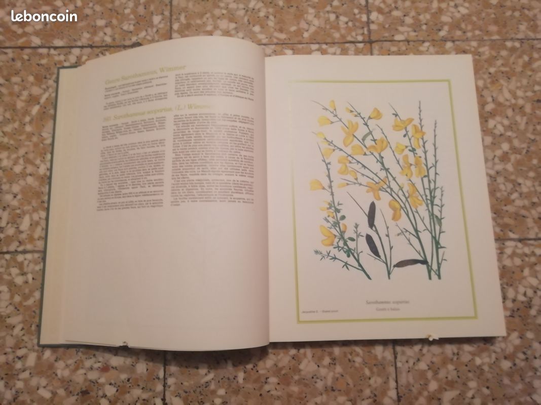 Livres Fleurs Sauvages de France et des Régions Limitrophes (image 11)