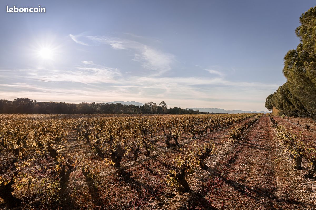 Terrain 1628 m² · à Perpignan · 1 628 m² · 370 000 €