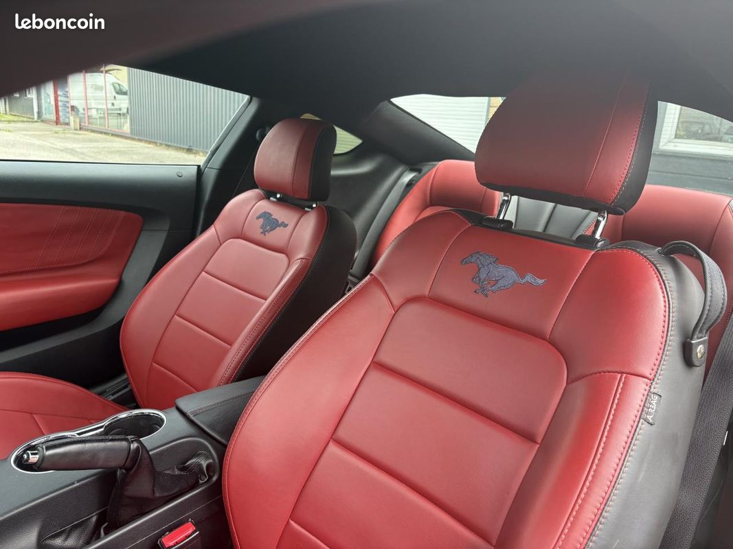 FORD MUSTANG 3.7 305 ch V6 - kit extérieur GT350 (image 15)