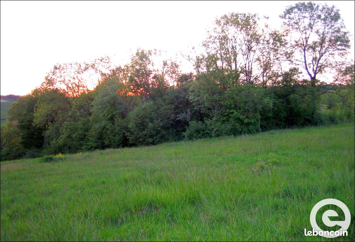 Terrain 4390 m² Bagneaux (image 4)