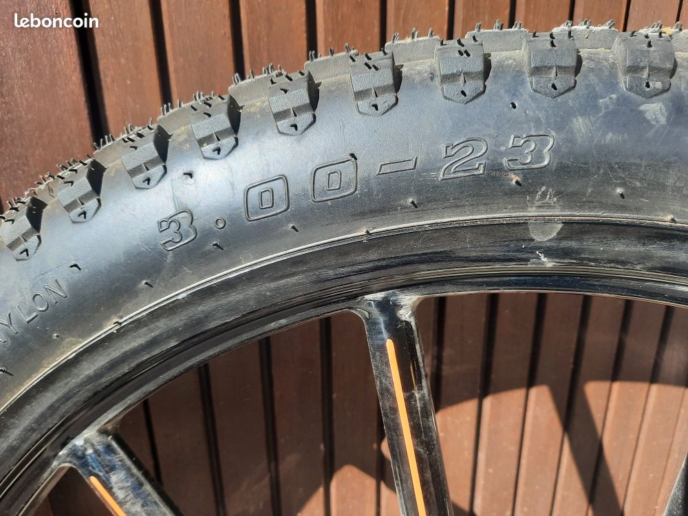 Roues pour calèche Dominiack (image 3)