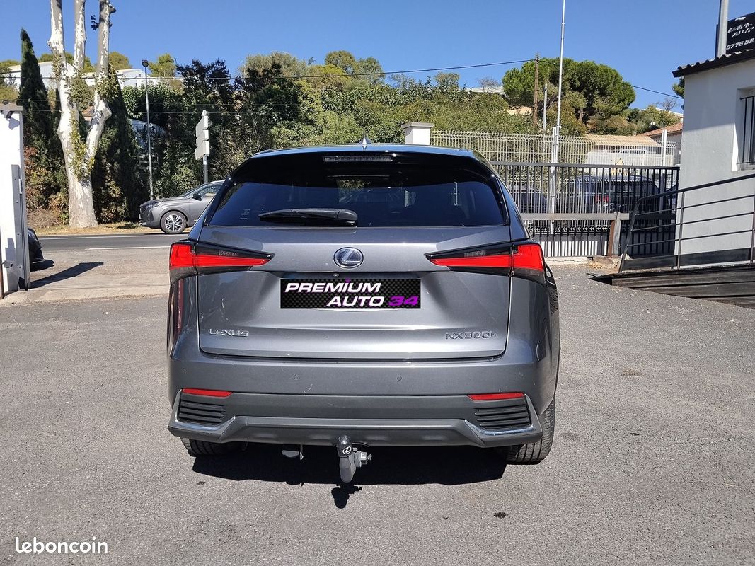 Lexus NX 300H 4WD LUXE (image 5)