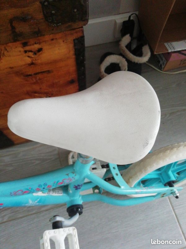 Vélo reine des neiges (image 7)