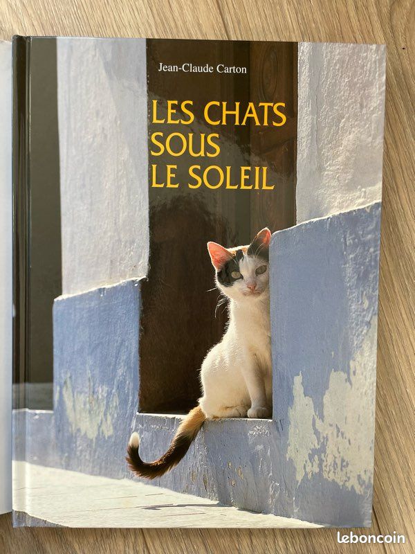 Les chats (image 2)