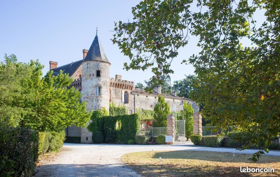 Château a louer en gite de groupe (image 5)