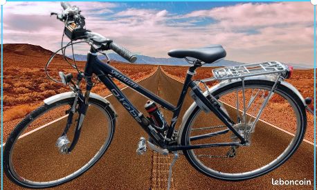 Globe Bike Specialized Globe City Specialized HAUL ST Bikes ERIK'S