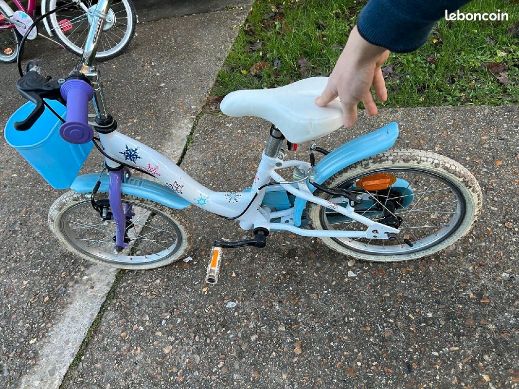 Vélo reine des neiges (image 4)