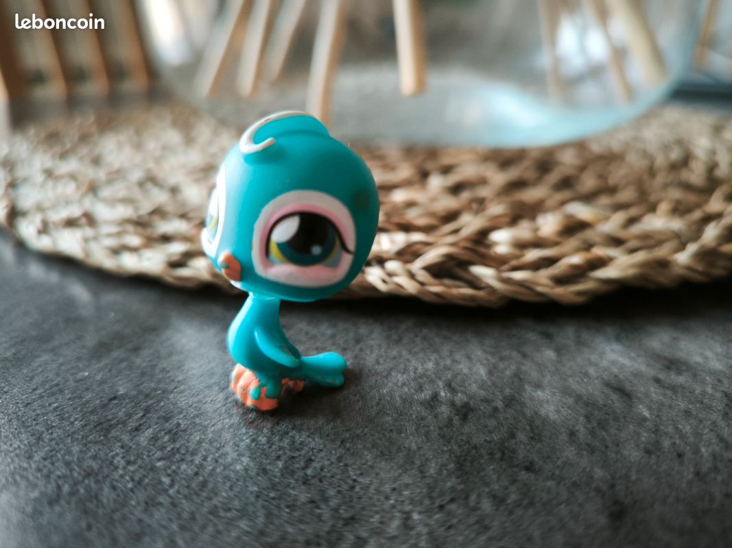 LPS N° 43 - Perruche bleu (image 3)