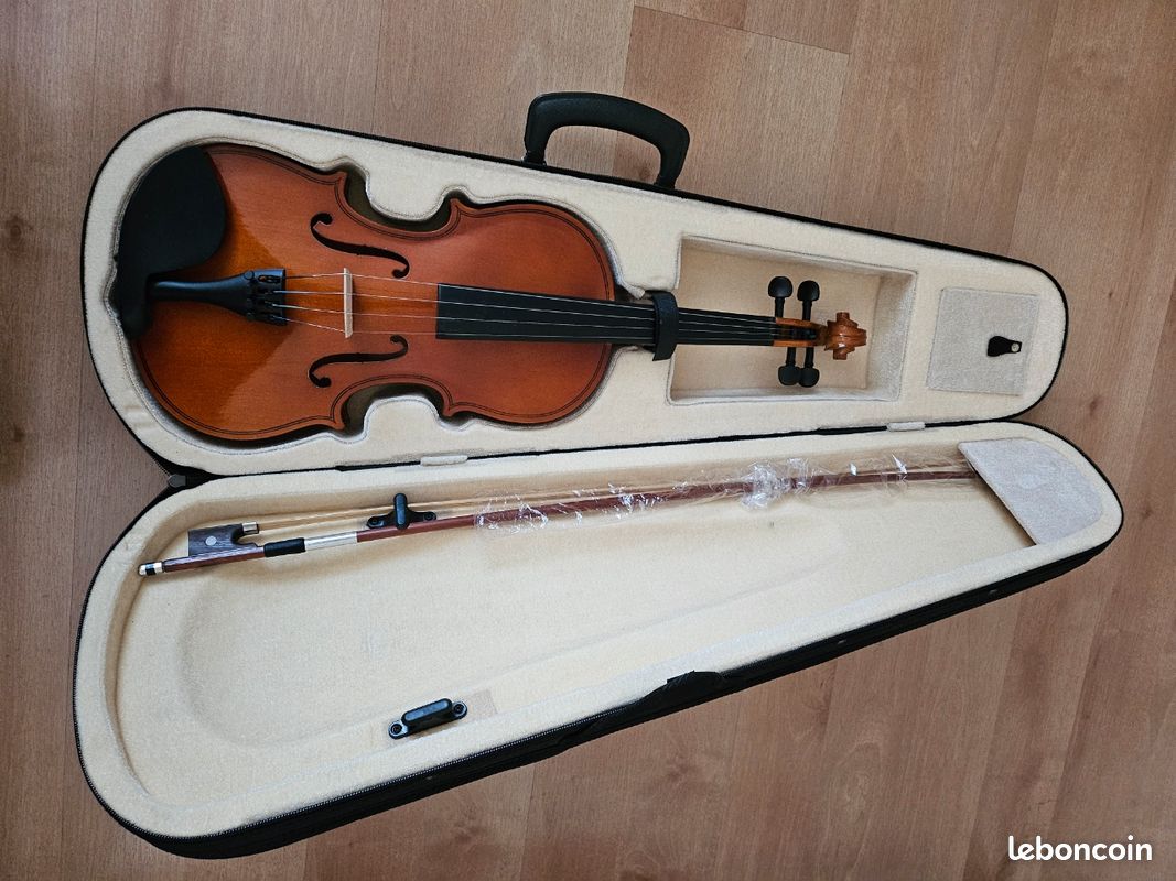 Violon (image 1)