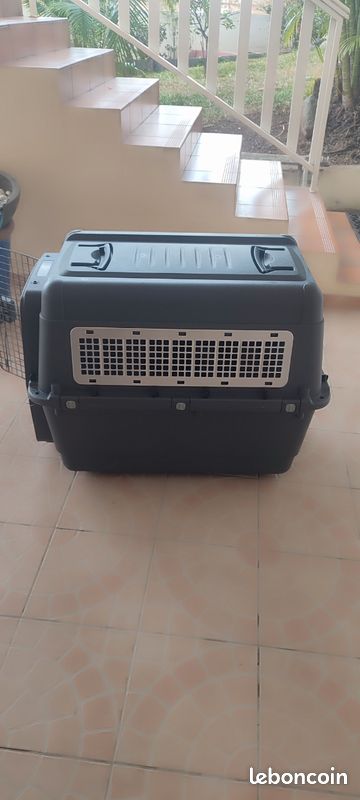 Cage transport IATA Accessoires animaux