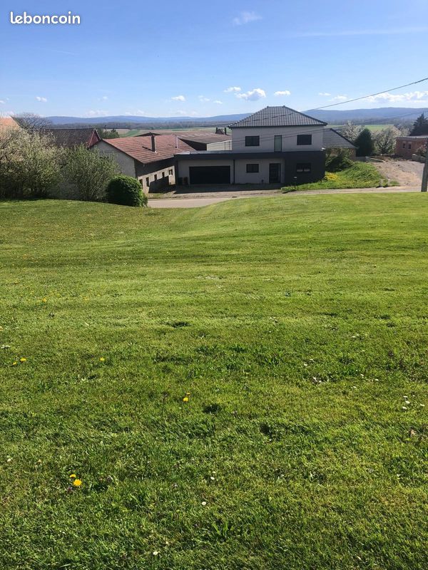 Terrain à MUESPACH · 228 000 €