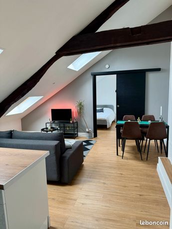 T2 meublé 46 m² rénové, lumineux et plein de charme – Hyper centre Orléans