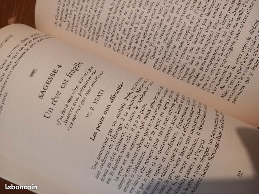 La roue de la sagesse ( livre chamanisme - wicca) (image 6)