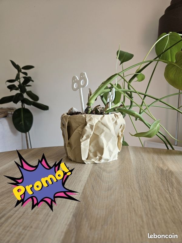 Promo exceptionnelle Vase 3d au design papier (image 1)