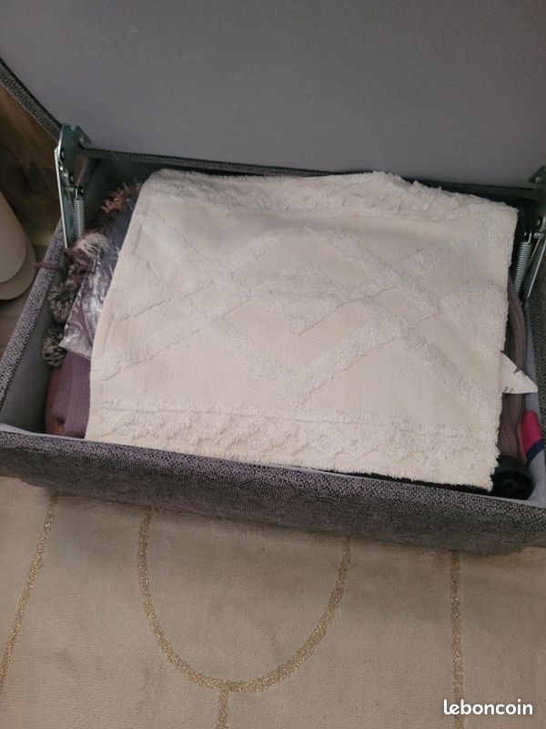 Bout de canapé/ pouf (image 1)