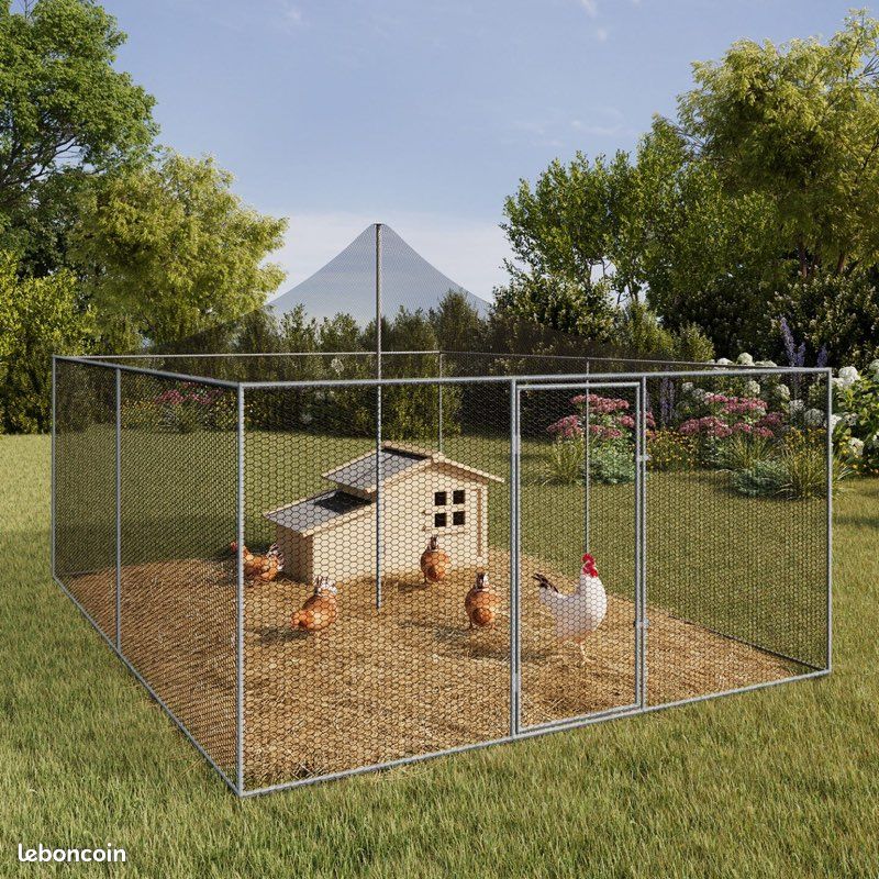 Volière poule (image 2)