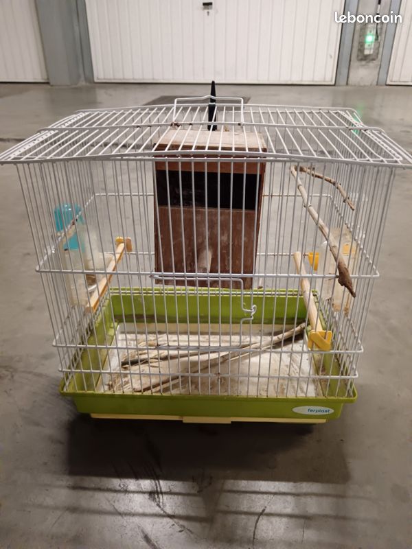 Cage d'oiseau avec équipement (image 1)