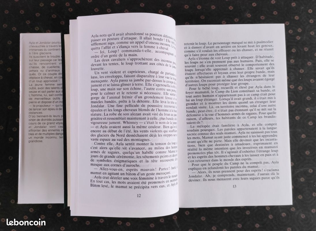 Le Grand Voyage - tome 4 Les enfants de la terre - J. M. Auel (image 11)