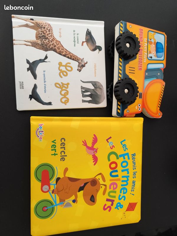 Lots livres (image 5)
