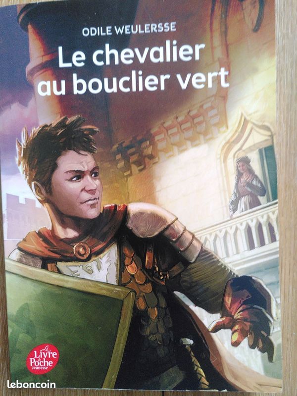 Le chevalier au bouclier vert (image 1)