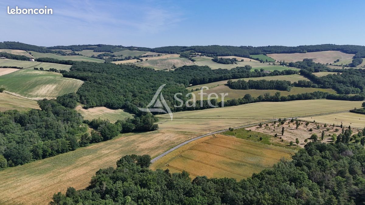 Propriété 290 m² Castres (image 3)
