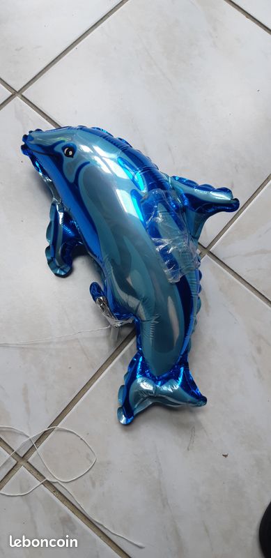 Petit Ballon Dauphin (image 1)