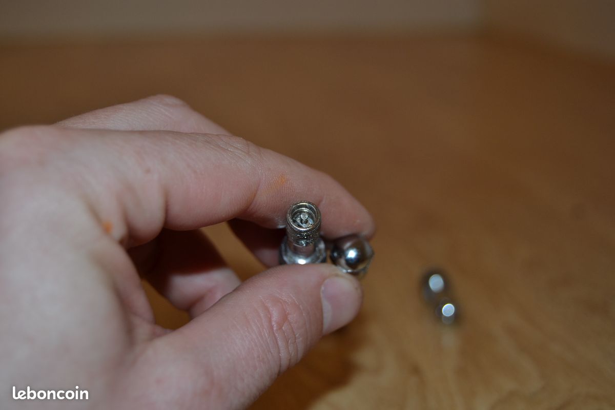 Valve pour voiture chrome (image 3)