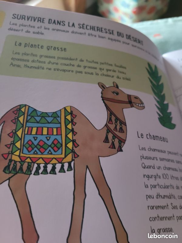 Coloriage (image 3)