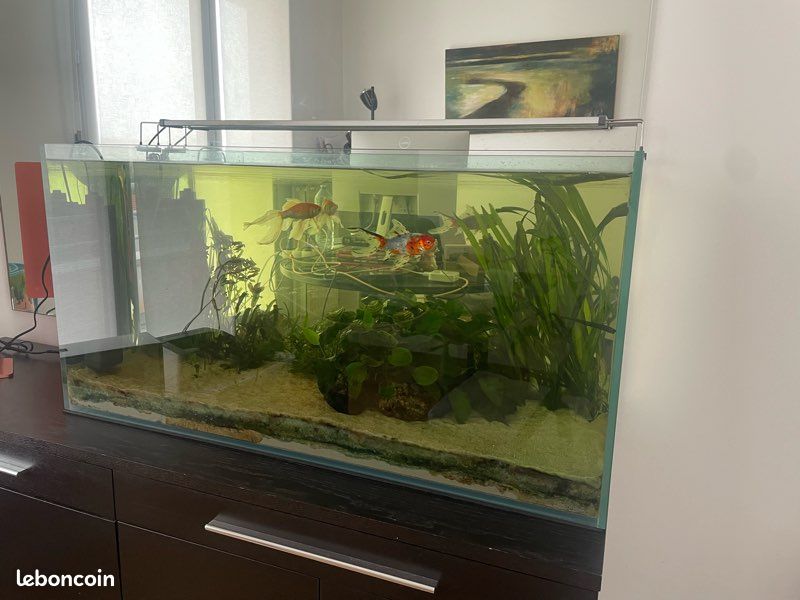 Aquarium+filtre+rampe LED (image 1)
